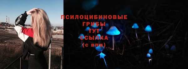 ALPHA-PVP Алексеевка